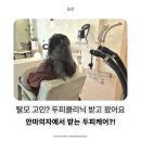 의정부미용실추천 / 금오동미용실 하루, 빛 헤어살롱 두피클리닉 후기 (의정부1인미용실)