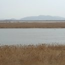 모텔심포장 이미지