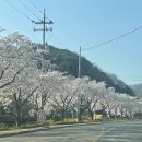 백양사 먹거리타운 이미지