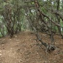 안용주골 이미지