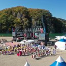 제15회 청송사과축제 이미지