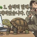 다우비 | 남들 엔비디아로 축제일 때, 나는 왜 지루한 'TIGER 미국배당다우존스'를 모을까?