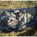 영인 낚시터 이미지