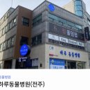 다올동물병원 | 아직 난 팔팔하다 7살 강아지 건강검진 받은 내돈내산후기(전주 평화동 하루동물병원)