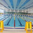 포항실내수영장 이미지