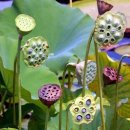 패션디자인(기초) 이미지