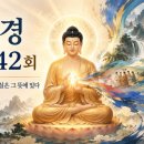 능가경 강해 42회 이미지
