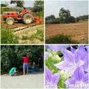 천혜농장 이미지