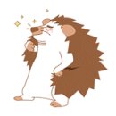 특별한 동물가게 이미지