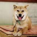 연성초등학교 이미지