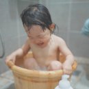 붕붕마마