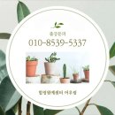 힐링원예센터어우림