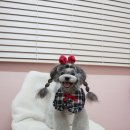리쌀롱 이미지