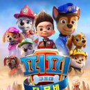 퍼피멜로디 이미지