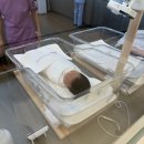 퀸즈포레산후조리원 | 춘천 퀸즈포레 산후조리원 이용후기