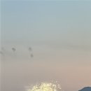 불꽃게임장 이미지