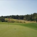 포항골프장(대중18홀) 이미지