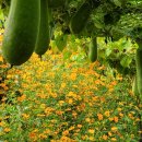 담비농장 이미지