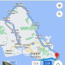 (하와이)오하우 1일 드라이브_하얏트 렌트 / 로얄하와이안 무인반납