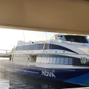 일출약국 | 대마도 1박 2일 여행 후기_팬스타 배, 히타카츠에서 이즈하라 버스 이동, 11월 대마도 날씨