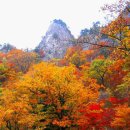 단풍 - 부여군 | 단풍