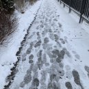 해피랜드 수완점 | 안녕, 여긴 잊혀진 별 명왕성