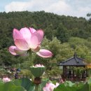 용성3길 이미지