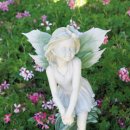 새들의 정원 이미지