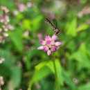 섭재 경로당 이미지