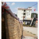 사계여행 이미지