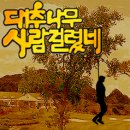대추나무 이미지