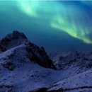 아리행정사 이미지