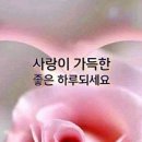 ♤예순 중반의 할머니♧ 이미지