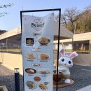 내동마을 내 공터 | 창녕 맛집 안리마을 산토끼밥상 내동반점