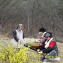 로사의 집 Daum카페