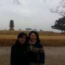 명숙농장 Daum카페