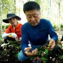 슬기농장 이미지