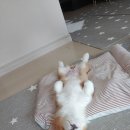 서령 PC방 이미지