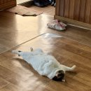 유곡한의원 이미지