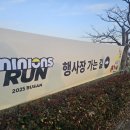 Minions 2 | 2025 부산 미니언즈런 참가 후기