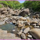 지리산별담 이미지