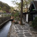 법인허브팜민들레울 | 거창 핫플 자연과 함께하는 힐링카페:허브팜 민들레울
