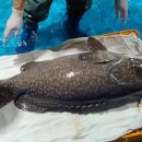 대왕수산 이미지