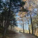 인제목장 | 평창 가볼만한 곳 "대관령 양떼목장" 데이트 추천 내돈내산