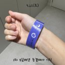 서울수의원 | 시험관 이식 후기 5일배양 동결 1차 서울퍼틸리티여성의원 주의사항