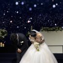전주 아이폰스냅 비쥬 내돈내산 솔직후기