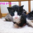 개금3동-2 이미지