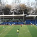 신천체육공원 축구장 Daum카페