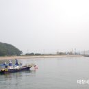 장고도7 이미지