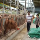 현우농장 이미지